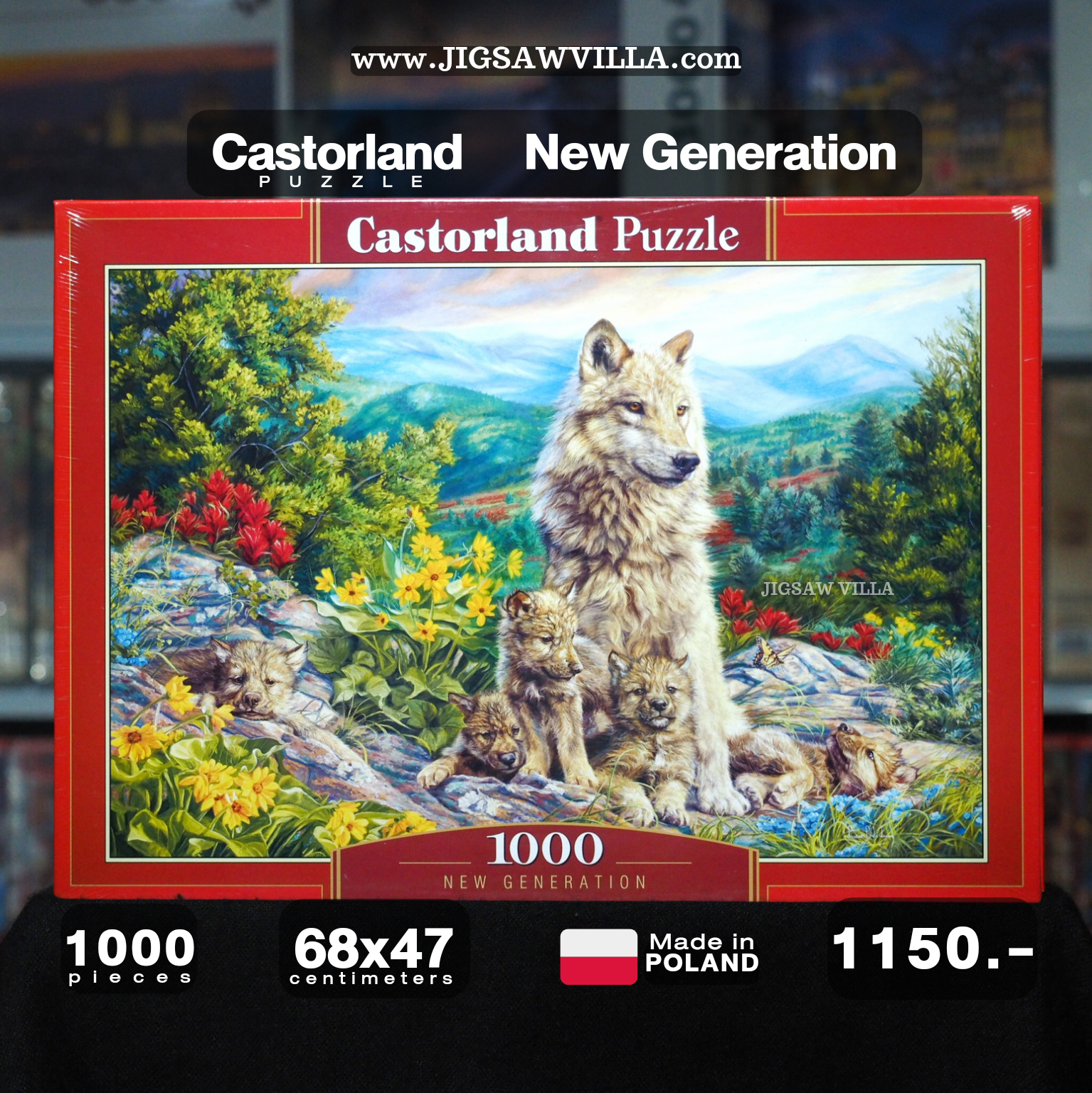 Castorland - New Generation 1000 pcs.