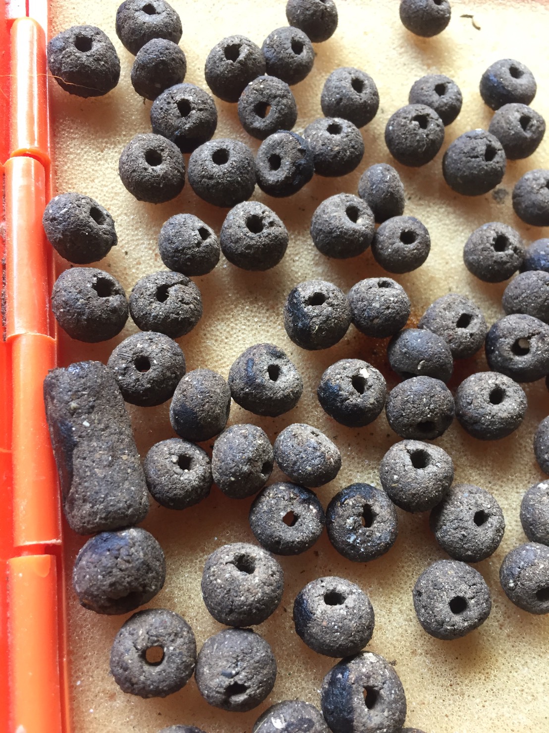 เม็ดประคำผงพราย 59ตน อาจารย์เปล่ง บุญยืน ยุคต้น