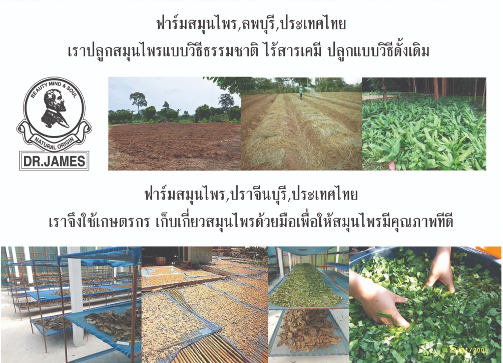 ครีมทาท้องลาย ครีมลดรอยแตกลาย ครีมทาผิวแก้ท้องลาย Stretch Mark Cream Dr.James