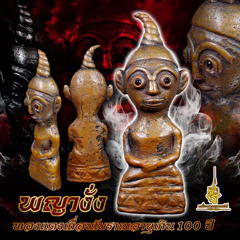 พญางั่งทองแดงเถื่อนโบราณอายุเกิน 100 ปี