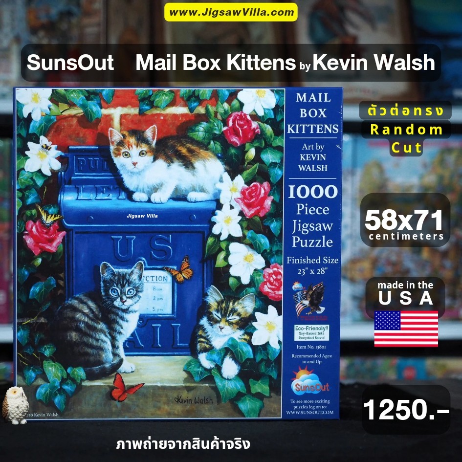 SunsOut - Mail Box Kittens by Kevin Walsh (Random Cut) 1000 pcs.