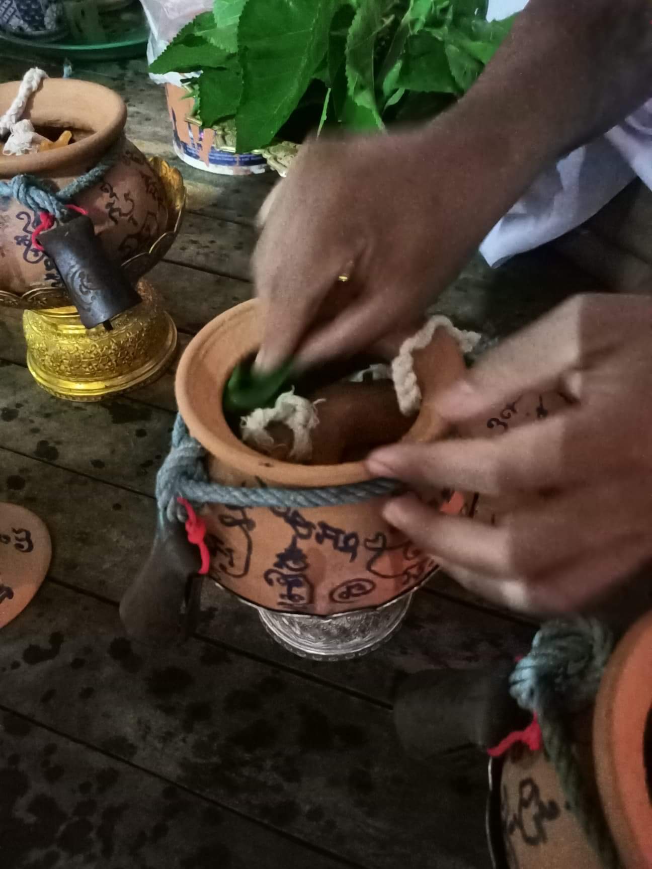 วัวธนูอาคม (โกบาสนาเตะ) อาจารย์เขมร