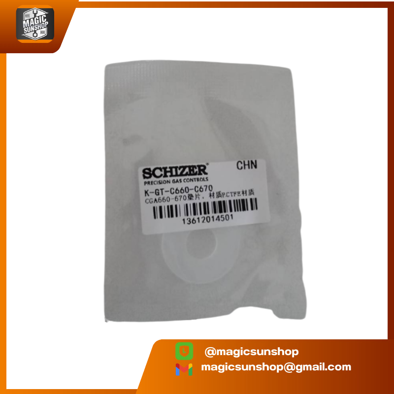 924316 PCDFE Gasket CGA660/pctfe/23.8/9.8/1.5 GFP