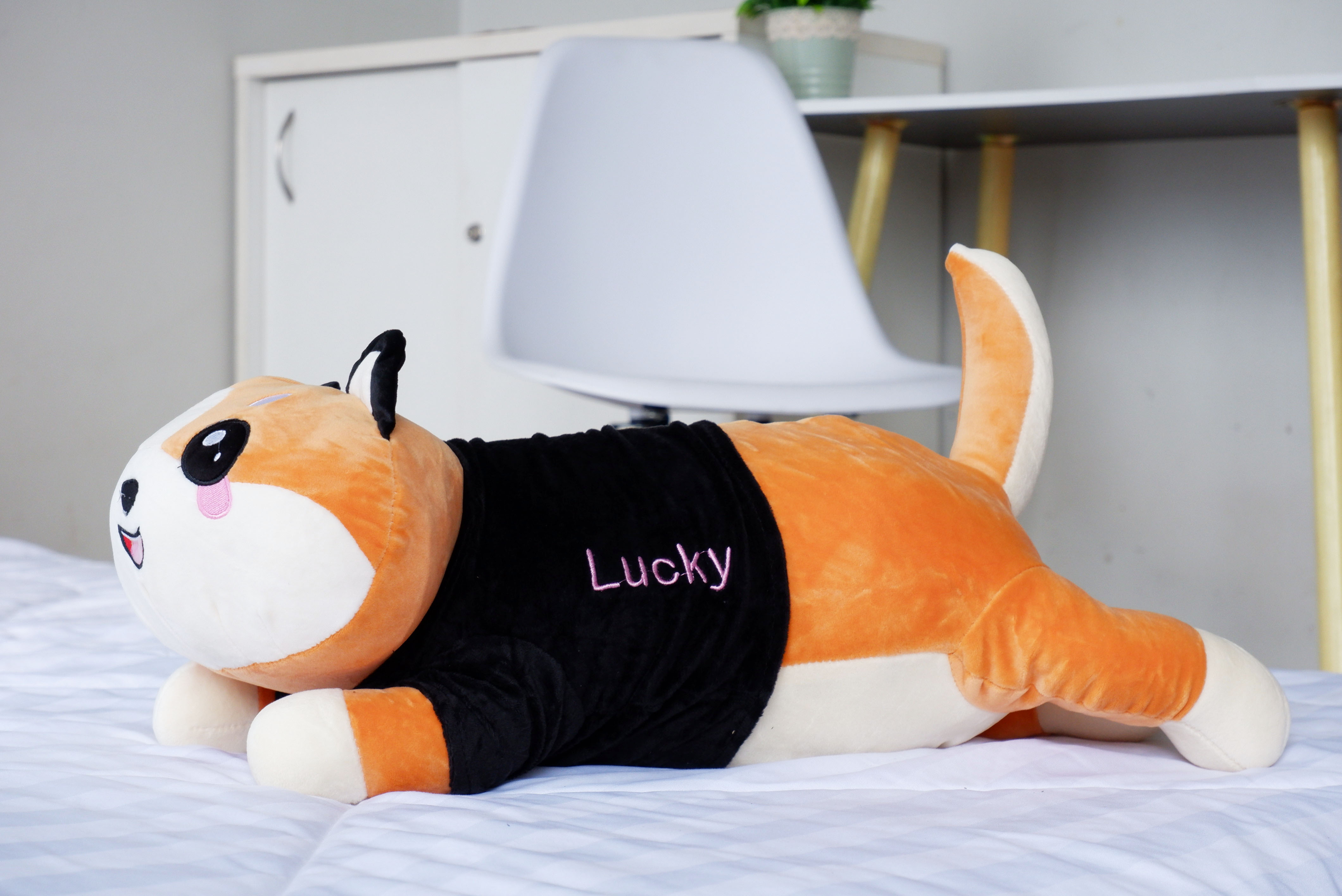 ตุ๊กตาผ้าห่มน้องหมา (10 ตัวคละสี)