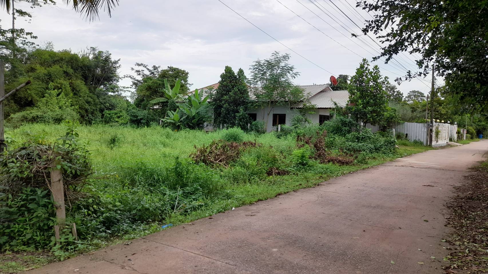 ขายที่ดินซอยตาโม ถ.อุดร-หนองใส ต.หนองบัว อ.เมืองอุดรธานี