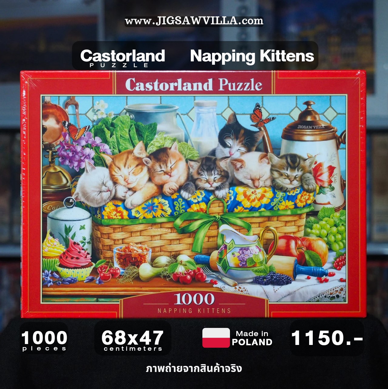 Castorland - Napping Kittens 1000 pcs.