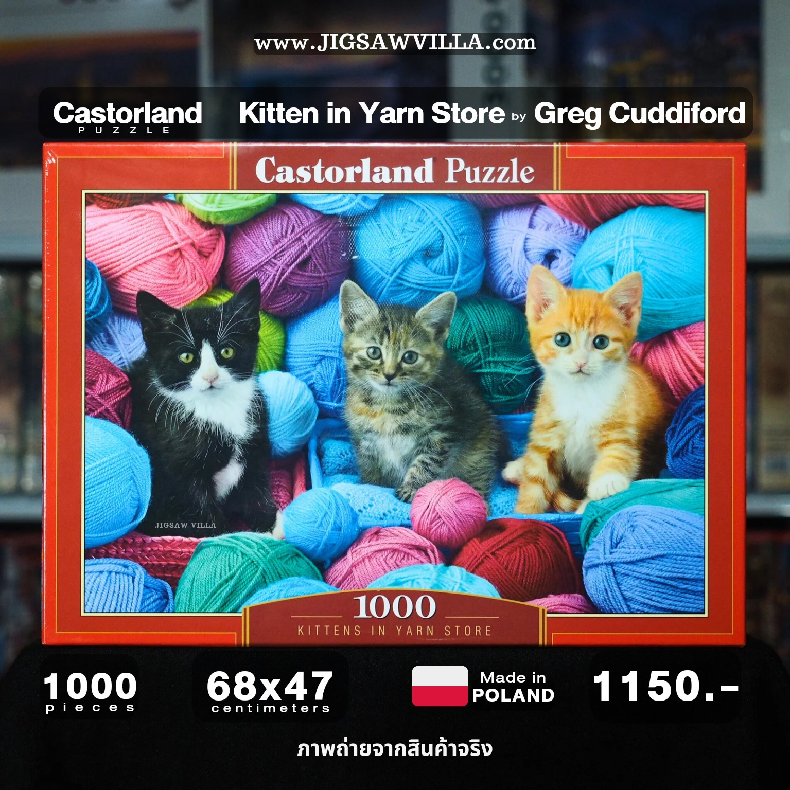 Castorland - Kittens in Yarn Store by Greg Cuddiford 1000 pcs.