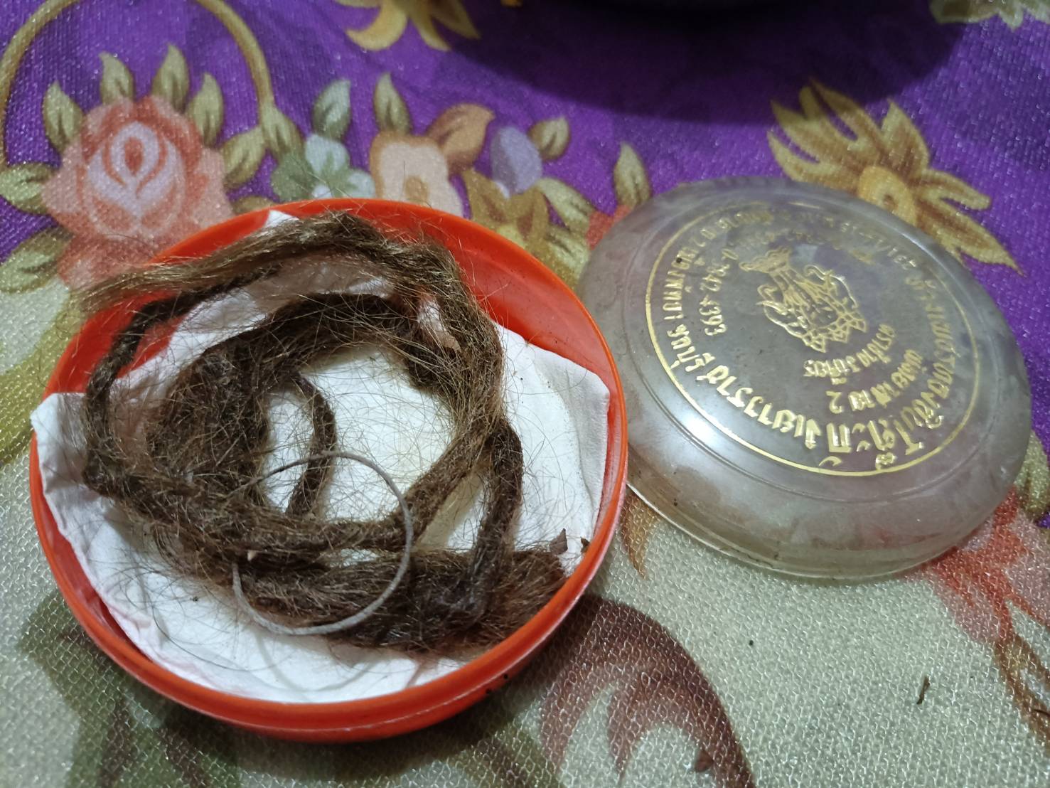 01/02/65 เส้นผมฤาษี