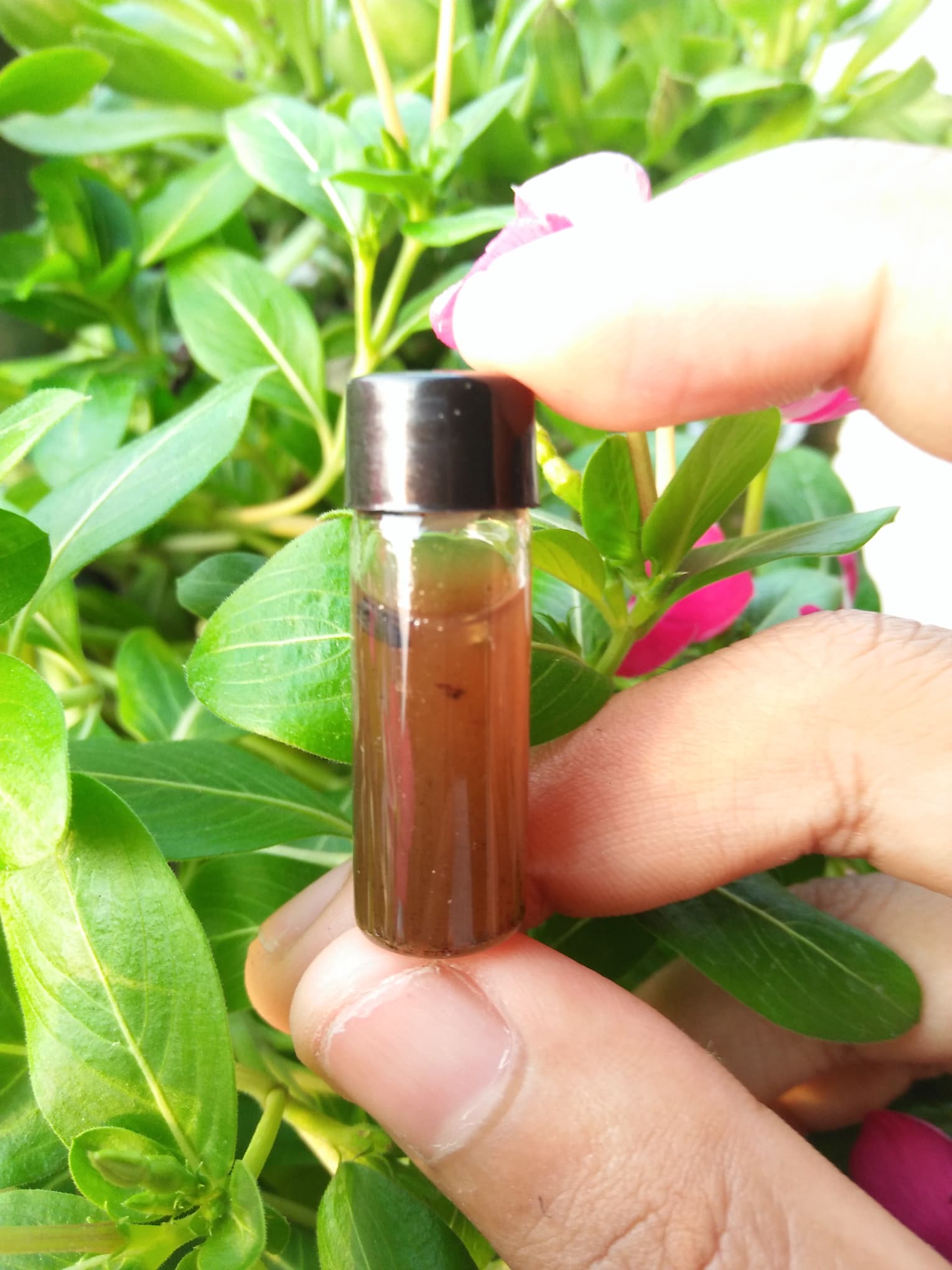 น้ำมันพรายนางคำ อ.ธรรมภิรักษ์