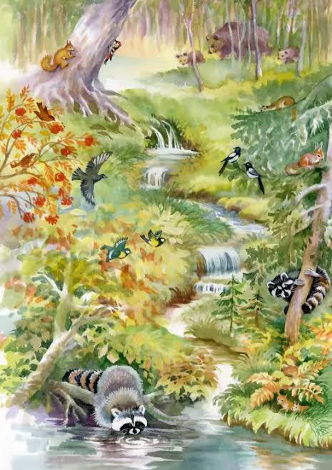 Bluebird Puzzle - Forest Animals by Nadiia Starovoitova 1000 pcs.