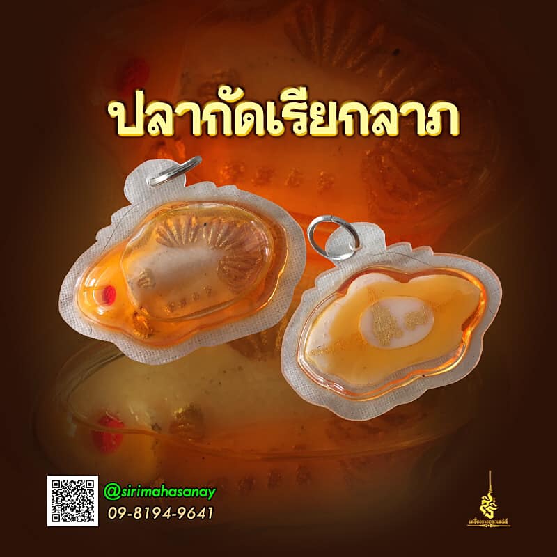 ปลากัดเรียกลาภ อ.เทพประทานพร