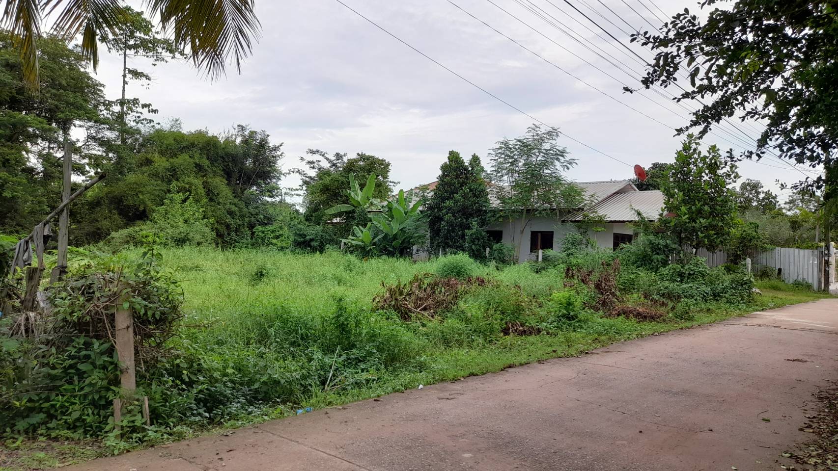 ขายที่ดินซอยตาโม ถ.อุดร-หนองใส ต.หนองบัว อ.เมืองอุดรธานี