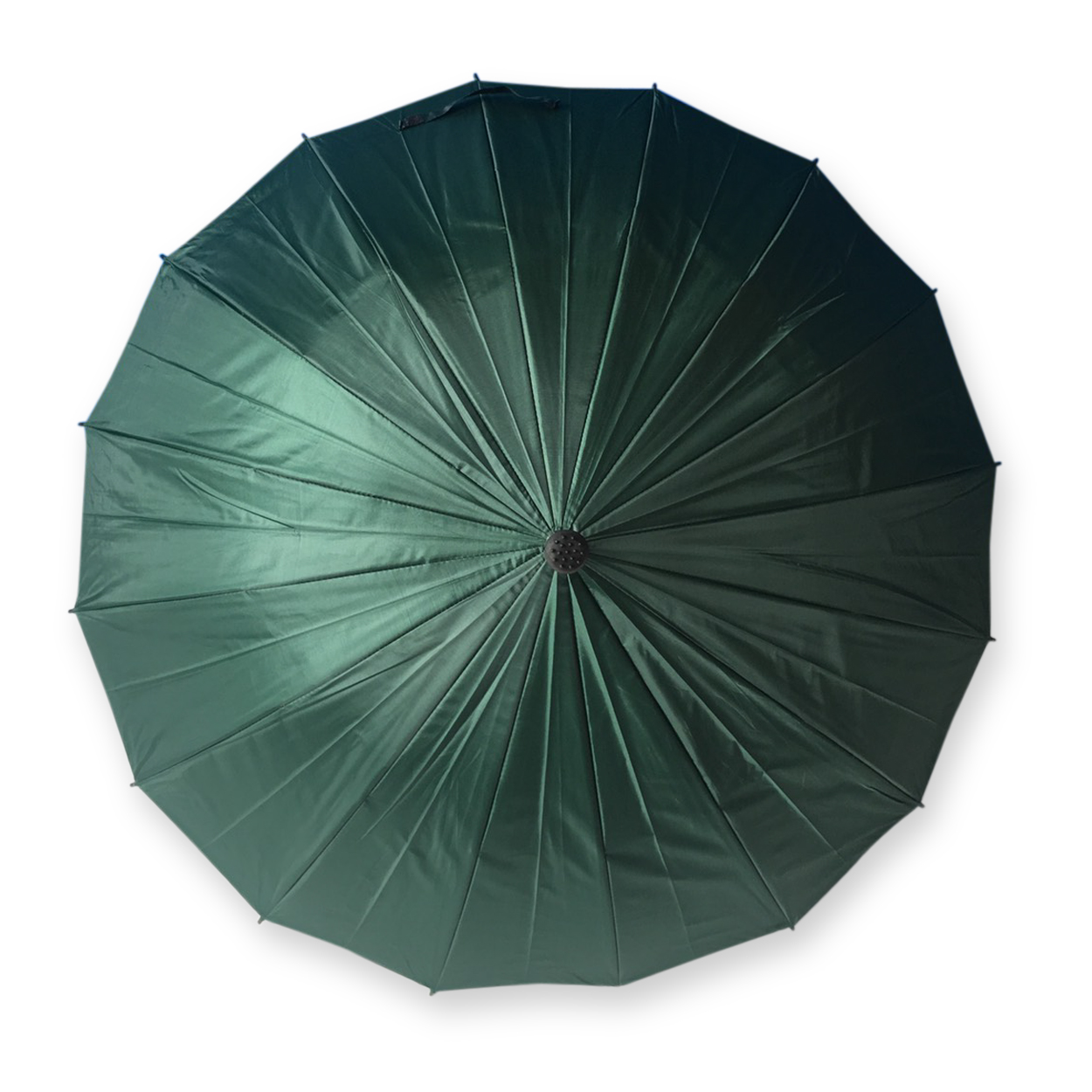 ร่มไม้เท้า16ก้าน21นิ้ว- ta