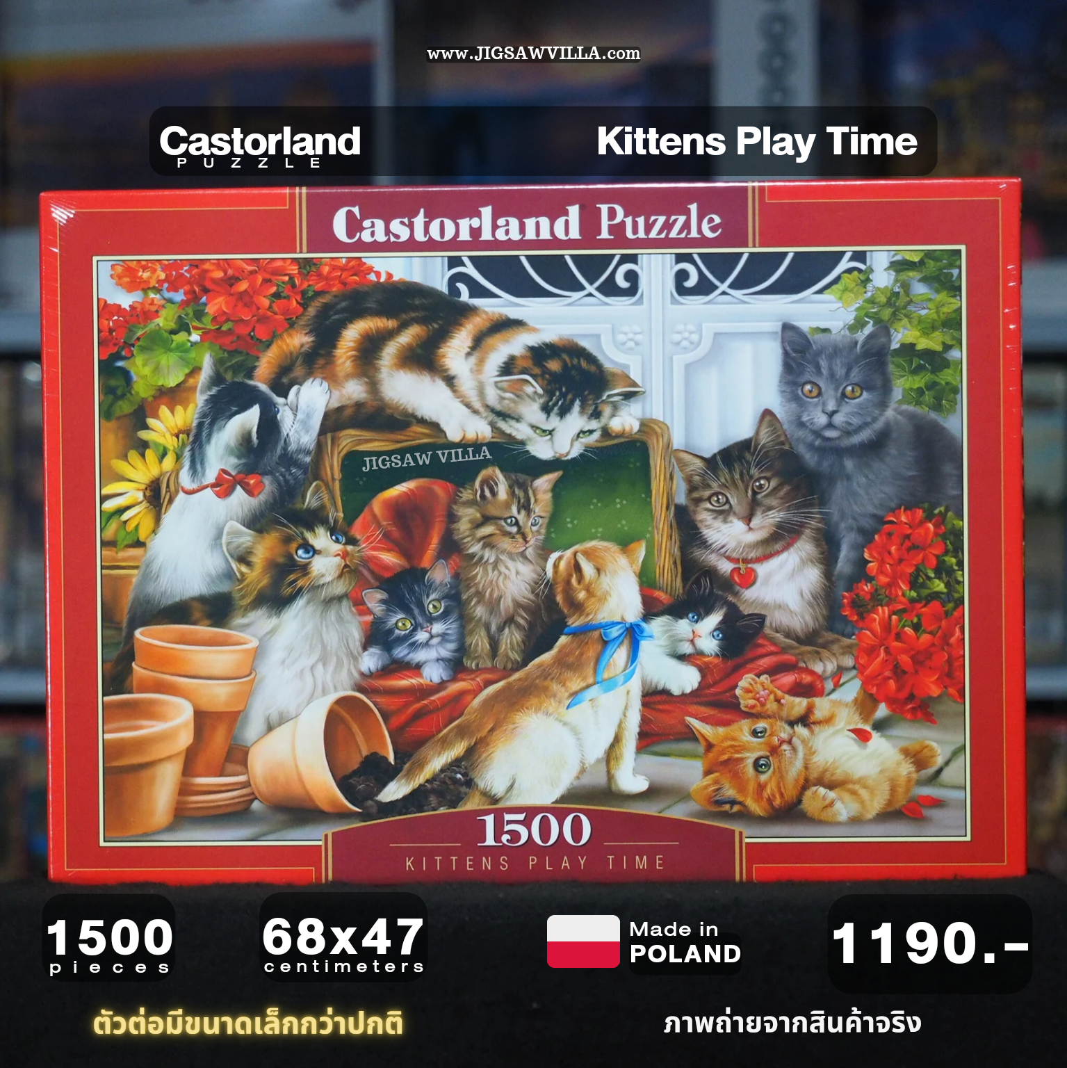 Castorland - Kittens Play Time 1500 pcs.