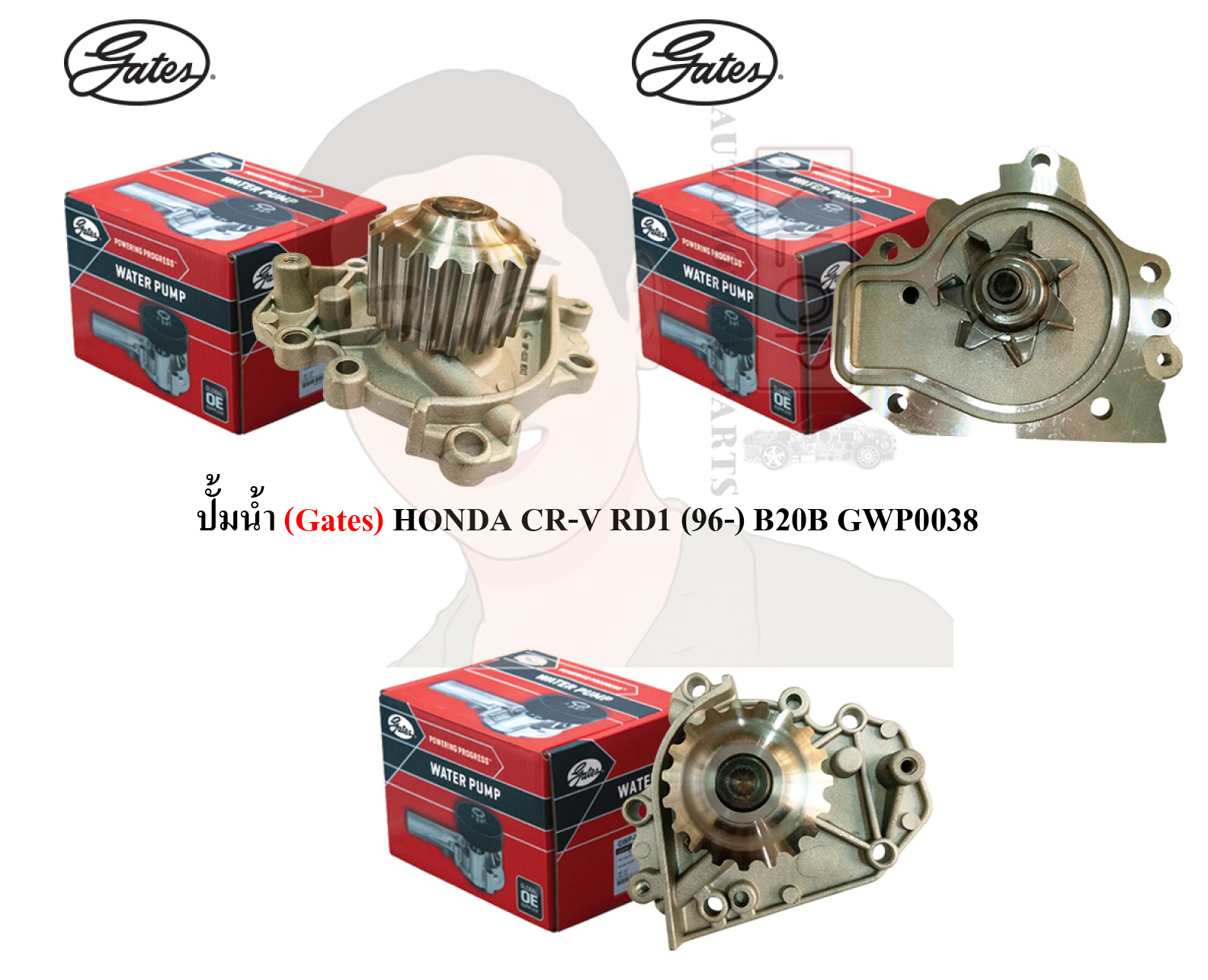 GWP0038 ปั๊มน้ำรถยนต์(GATES) HONDA CR-V RD1 (ปี1996-) B20B