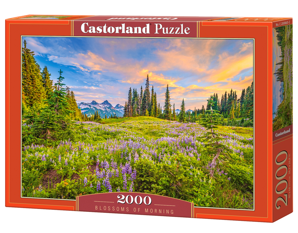 Castorland - Blossoms of Morning 2000 pcs.