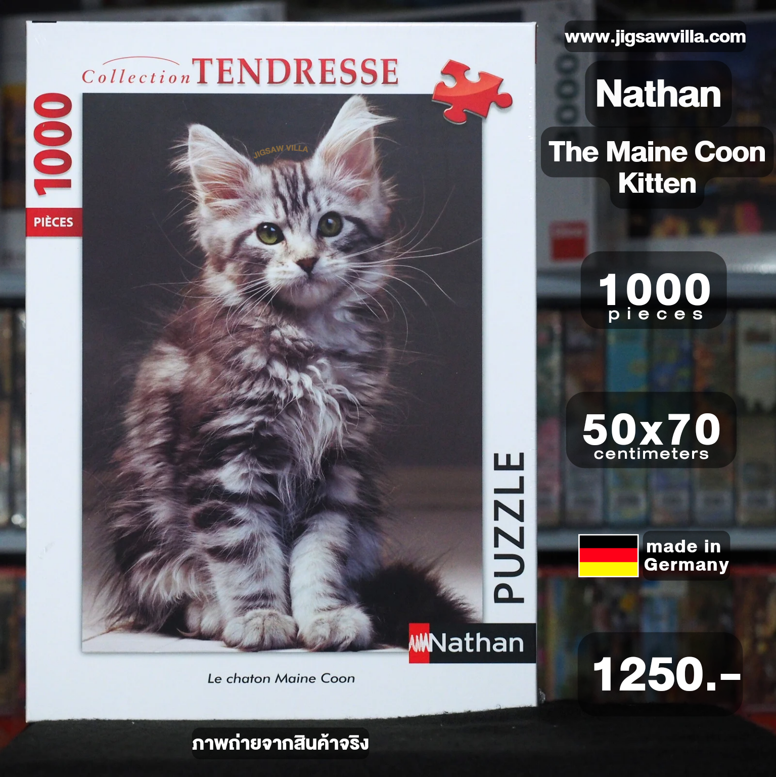 Nathan - The Maine Coon Kitten 1000 pcs.