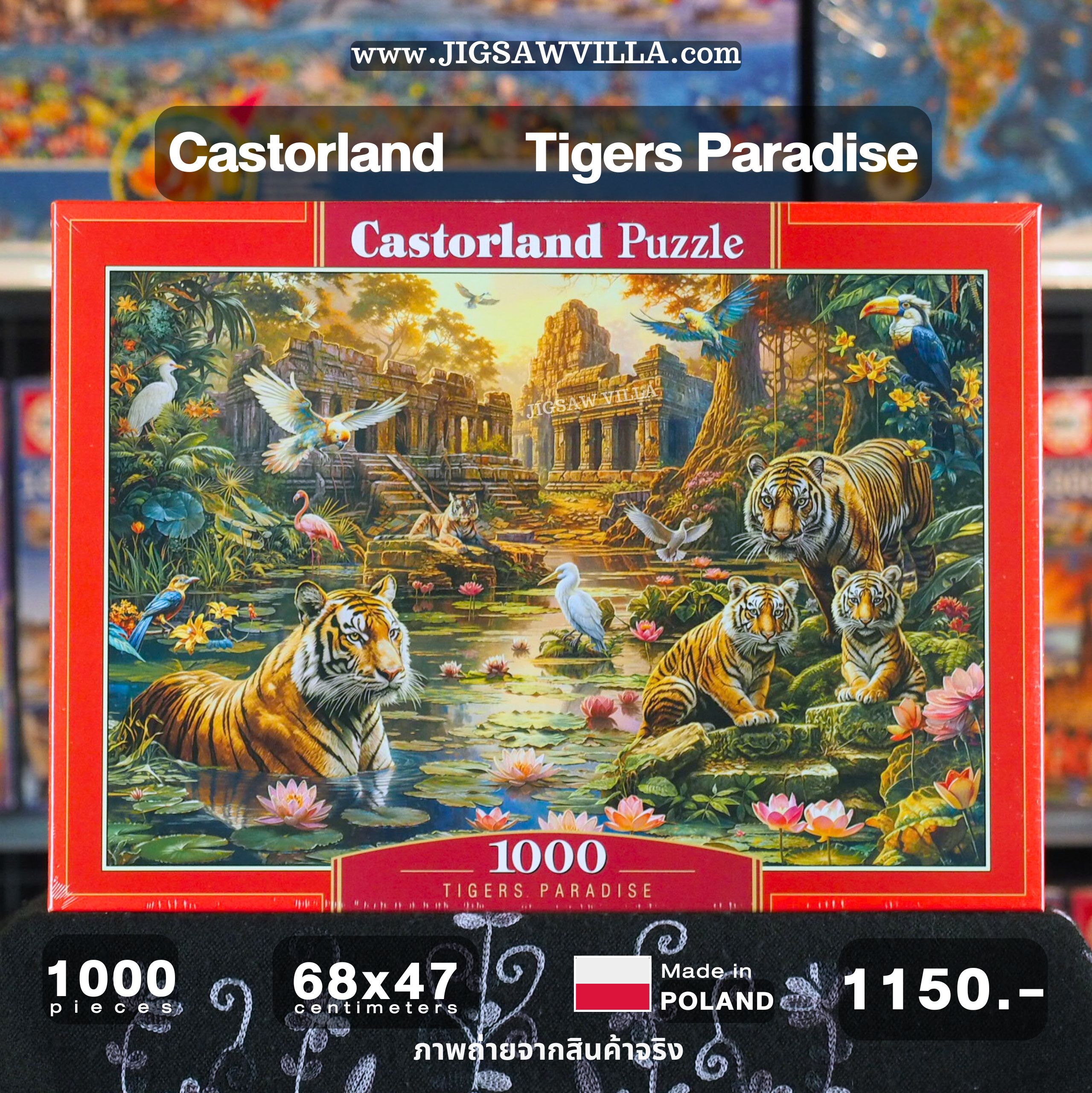 Castorland - Tigers Paradise by Image World 1000 pcs.