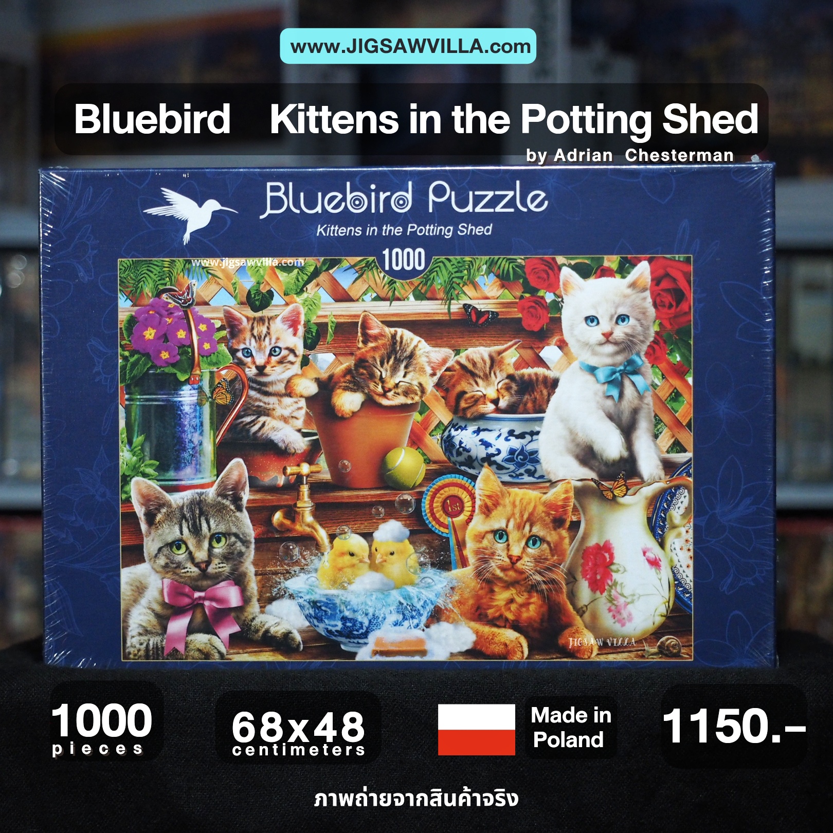 Bluebird Puzzle - Kittens in the Potting Shed by Adrian Chesterman 1000 pcs.