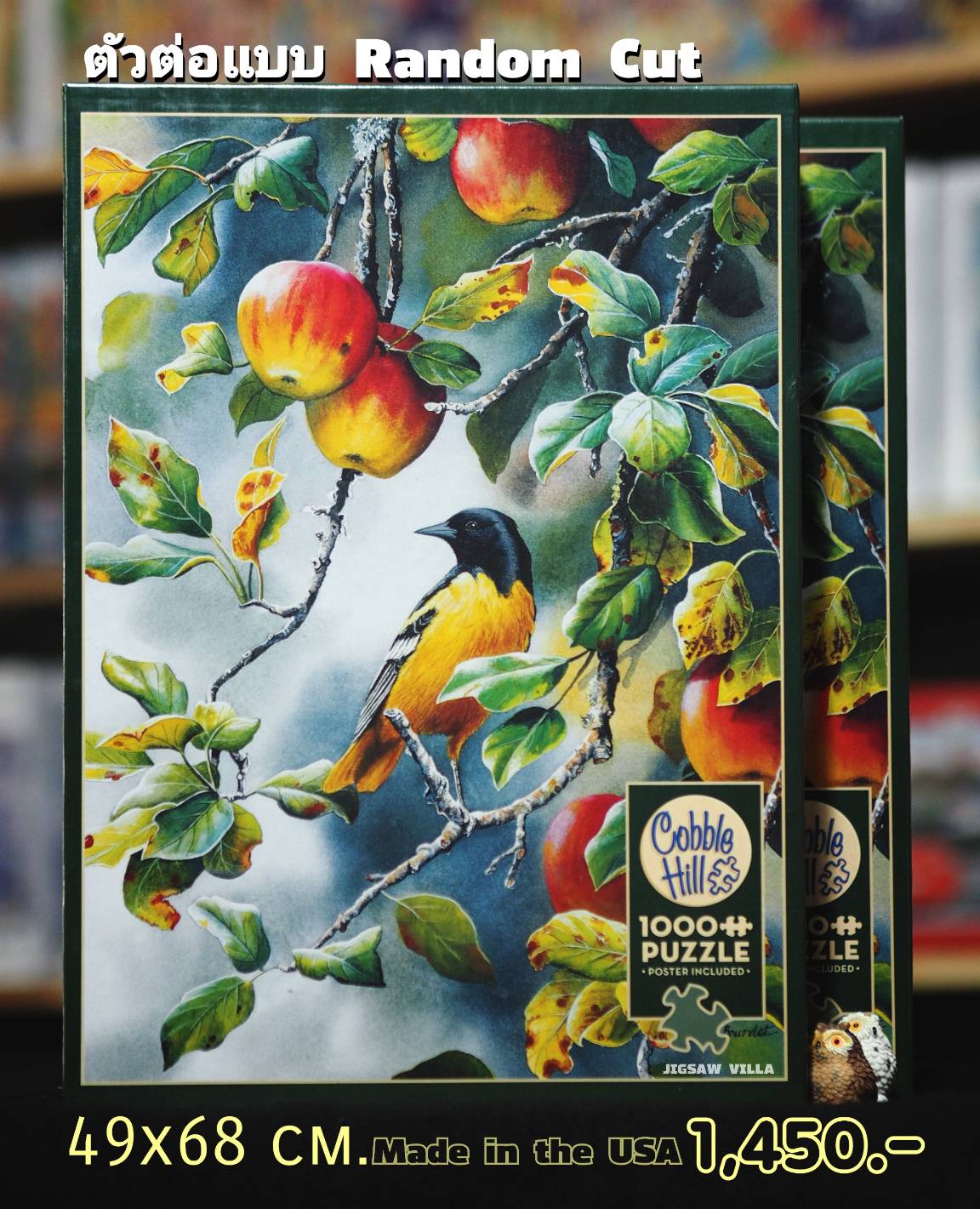Cobble Hill - Northern Oriole by Susan Bourdet (Random Cut) 1000 pcs.
