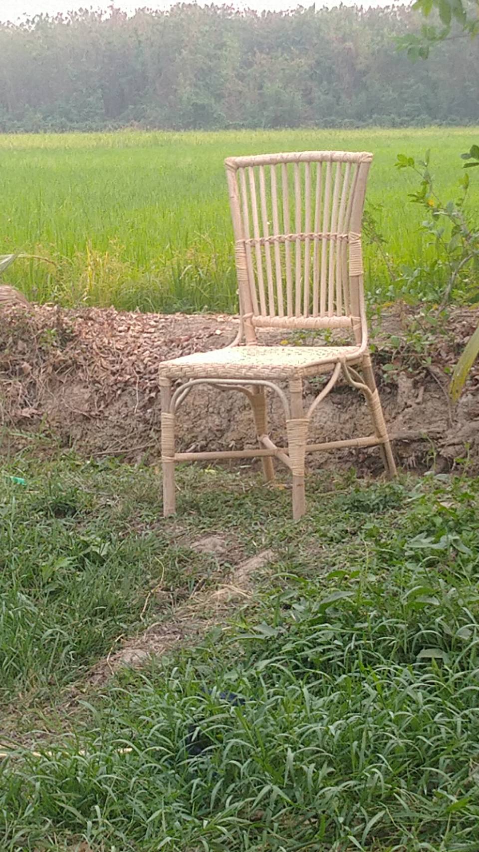 เก้าอี้หวายแท้