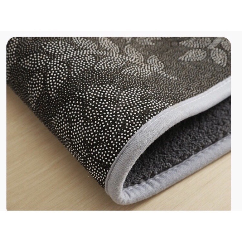 พรมเช็ดเท้านาโน (10 ผืน)