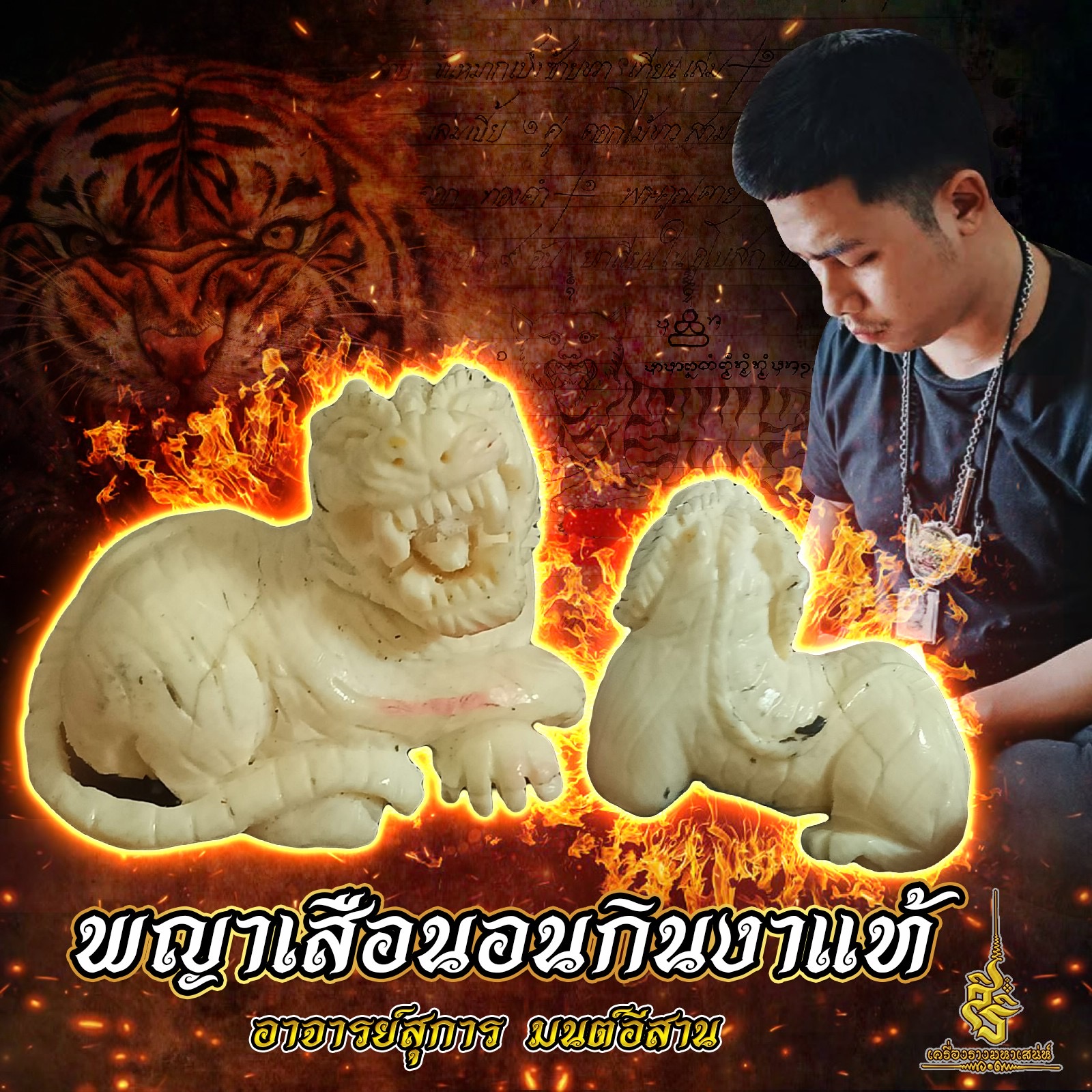 พญาเสือนอนกินงาแท้ อาจารย์สุการ มนต์อีสาน