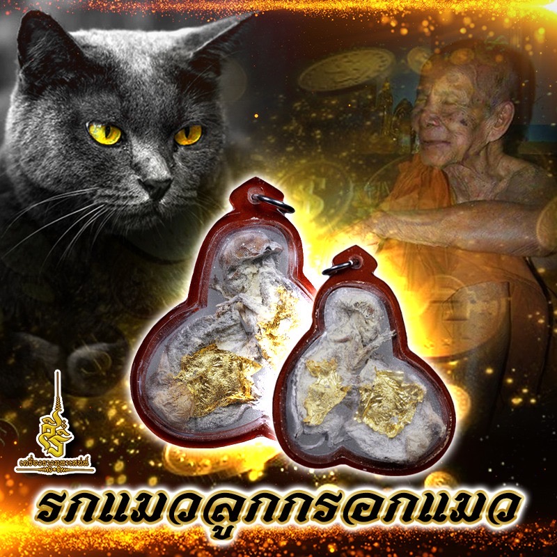 รกแมวลูกกรอกแมว หลวงปู่ผาด วัดบ้านกรวด