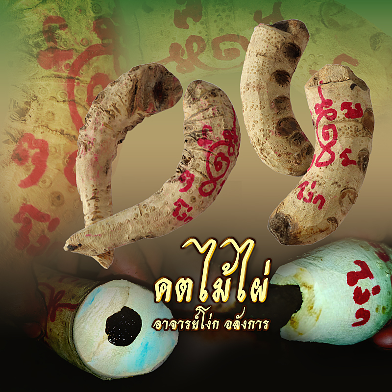 ⭕️ คตไม้ไผ่ อาจารย์โง่ก พจน์รัมย์