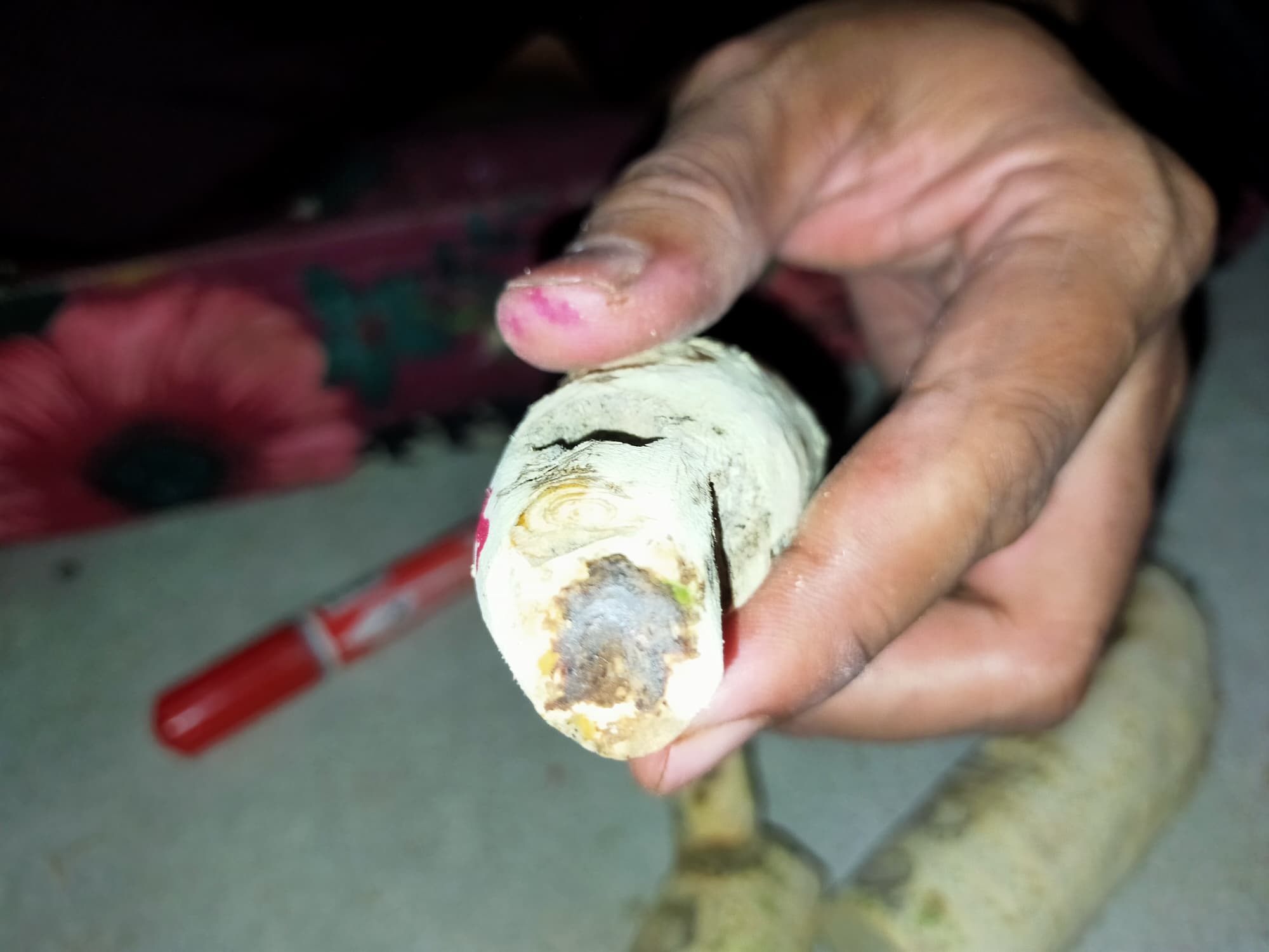 ⭕️ คตไม้ไผ่ อาจารย์โง่ก พจน์รัมย์