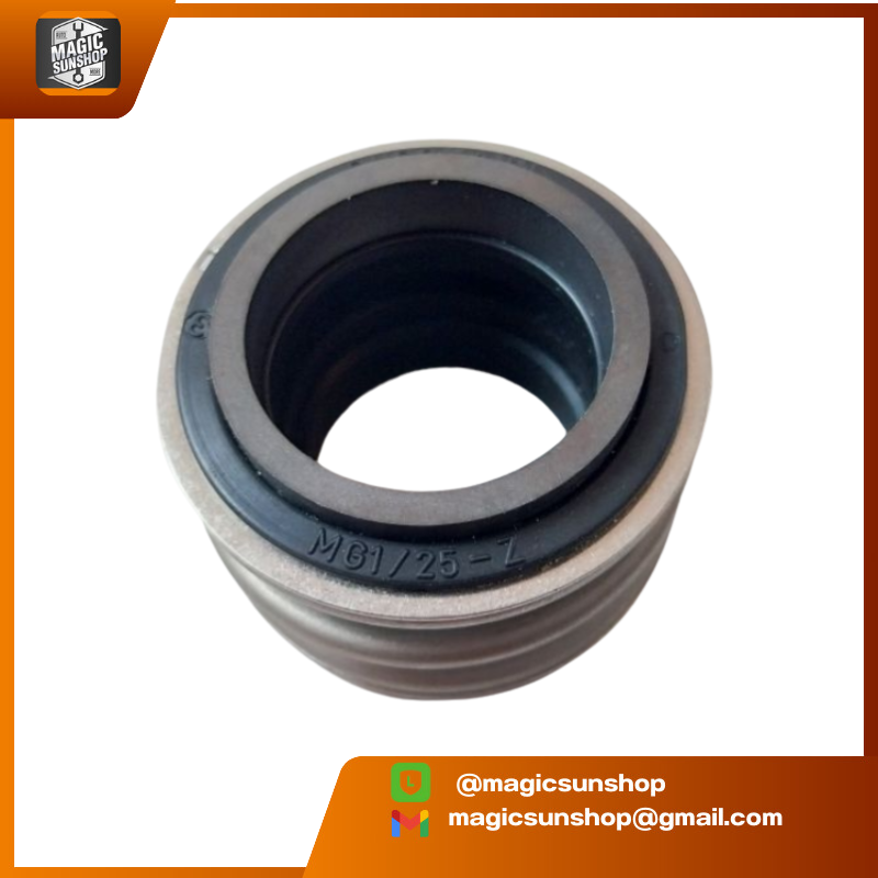 924785 Mechanical Seal MG1-25-Z