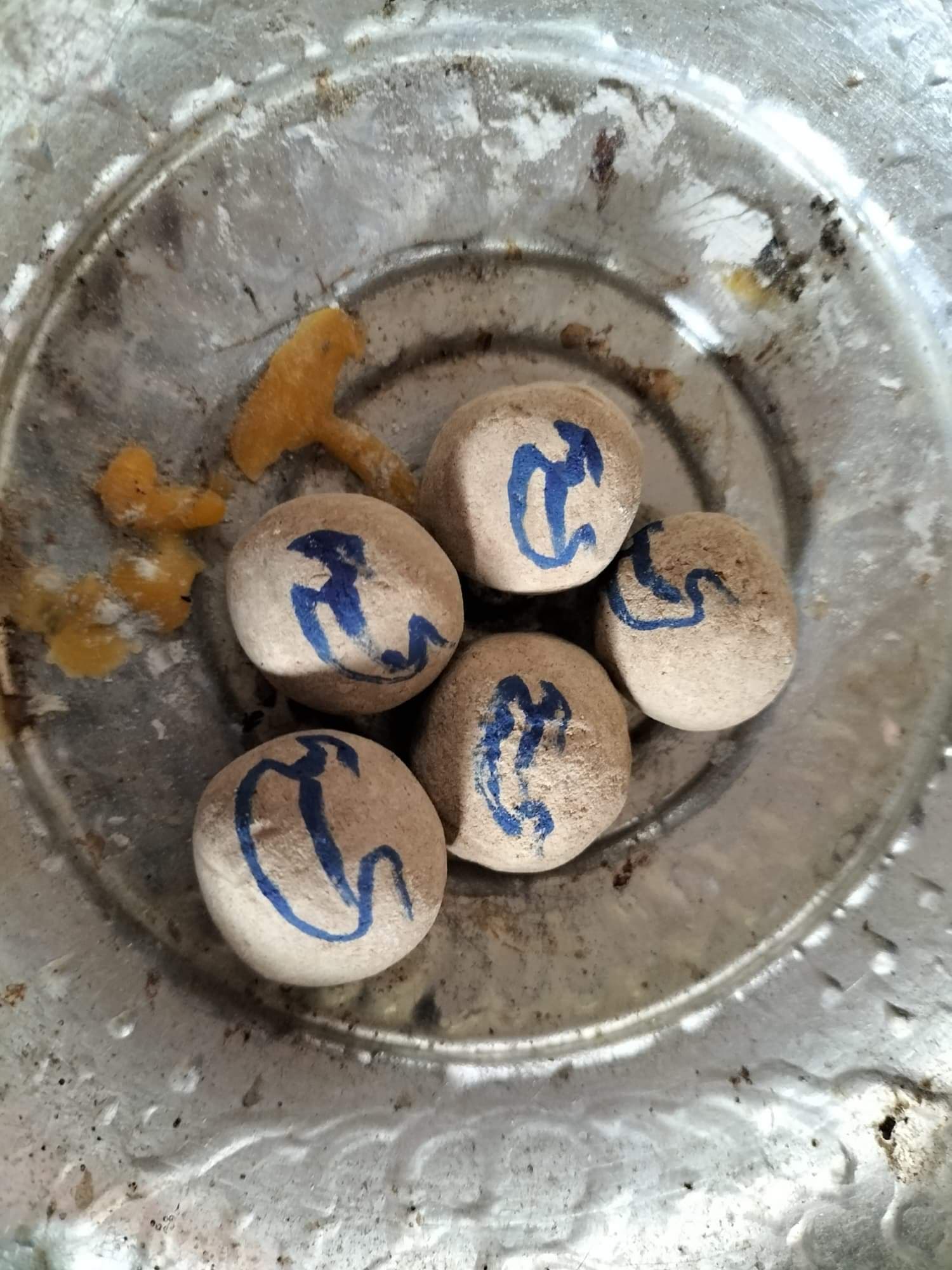 วัวธนูอาคม (โกบาสนาเตะ) อาจารย์เขมร