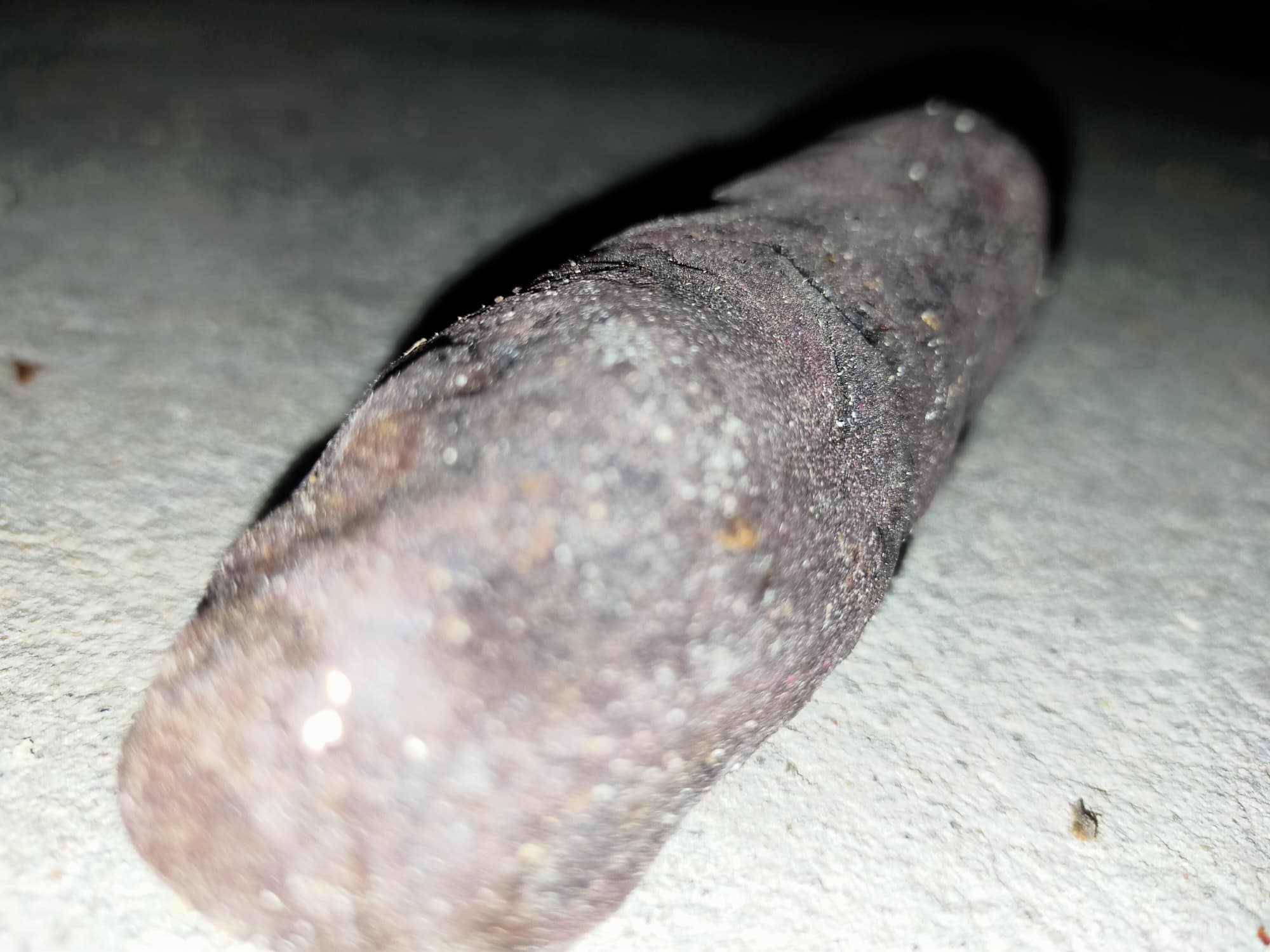 ⭕️ คตไม้ไผ่ อาจารย์โง่ก พจน์รัมย์