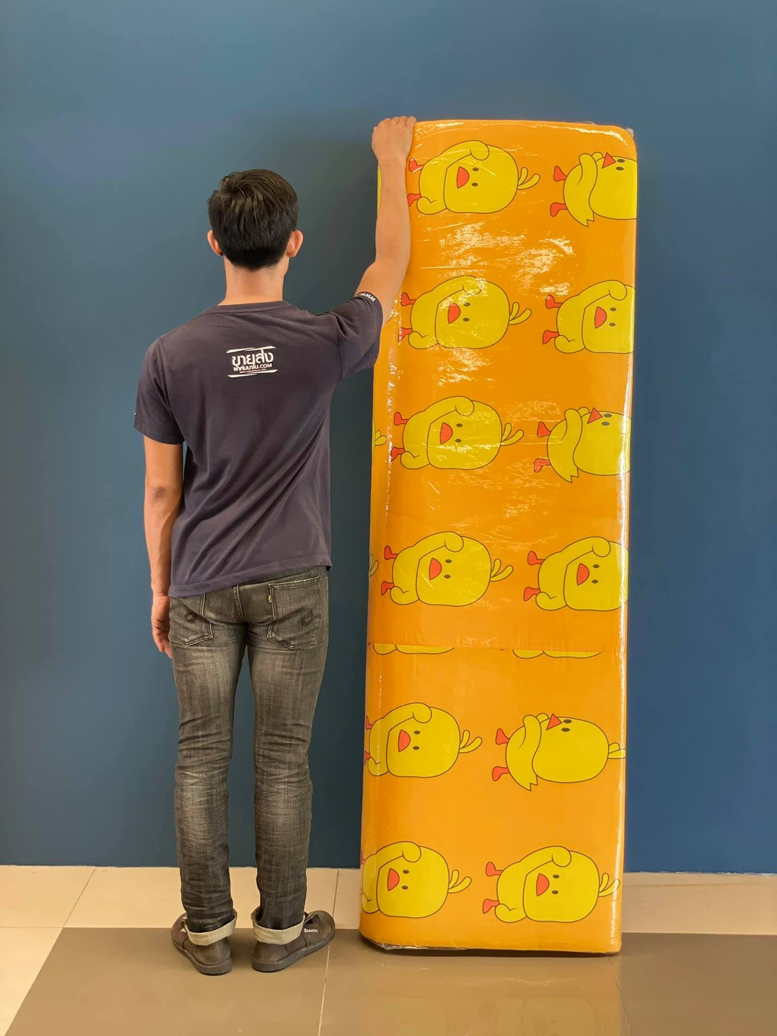 ที่นอนปิคนิค ผลิตจากโรงงานโดยตรงมีรุ่นหนา 2 นิ้ว / 4 นิ้ว