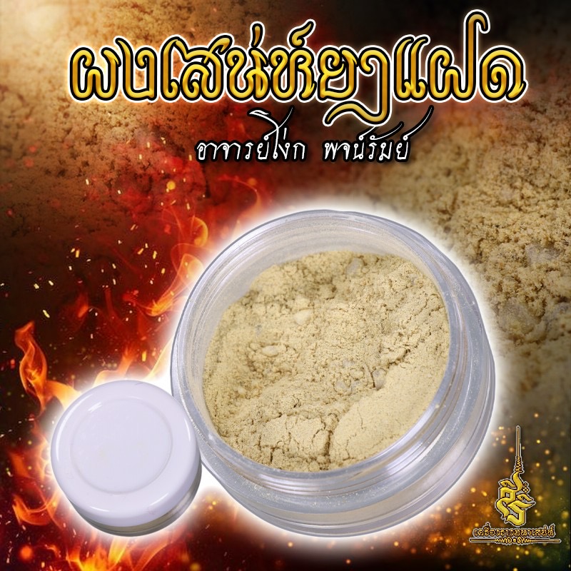 ผงเสน่ห์ยาแฝด อาจารย์โง่ก พจน์รัมย์