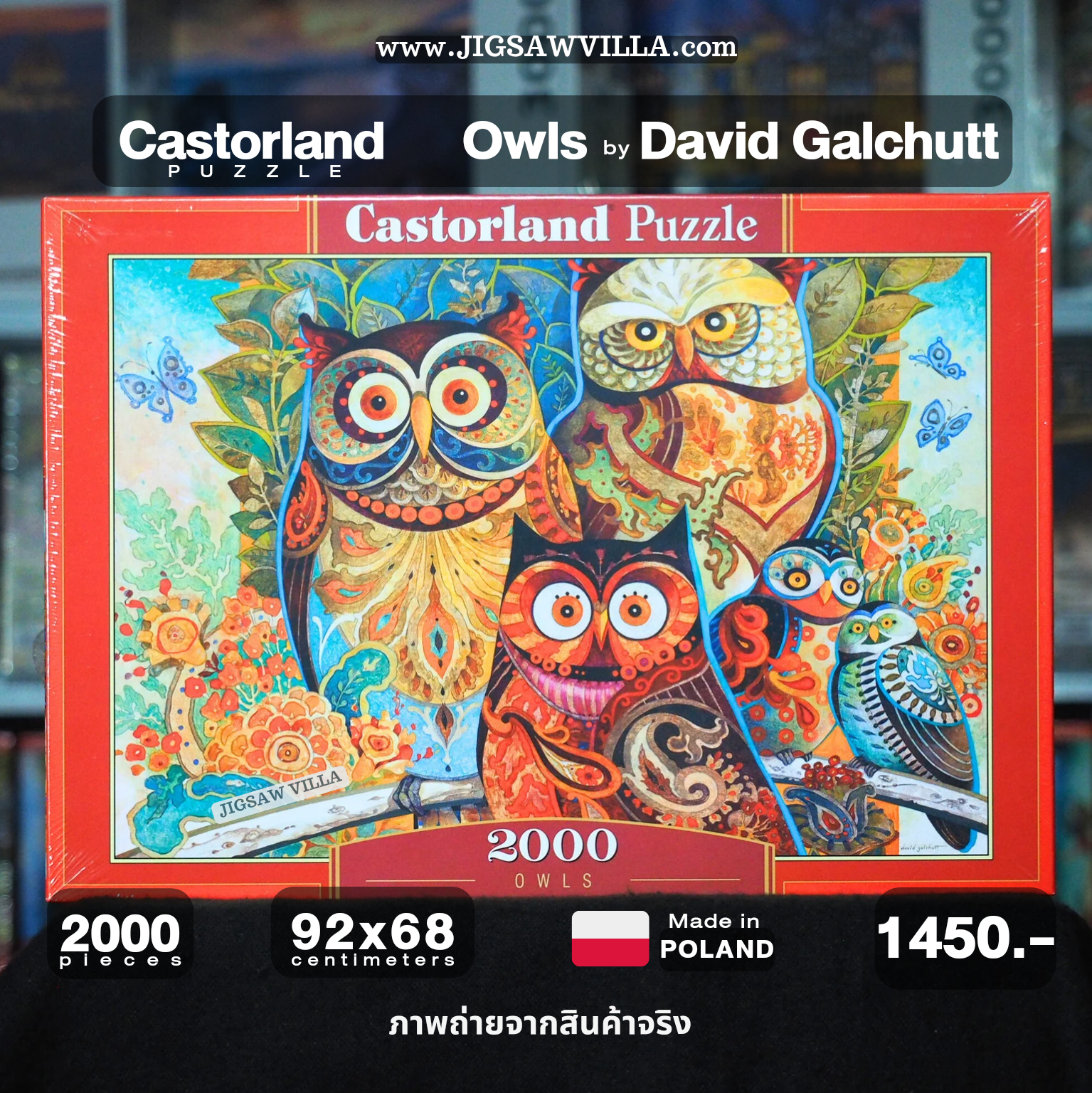 Castorland - Owls by David Galchutt 2000 pcs.