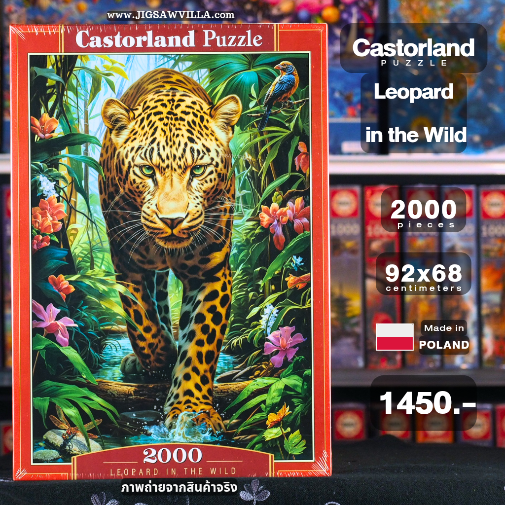 Castorland - Leopard in the Wild 2000 pcs.