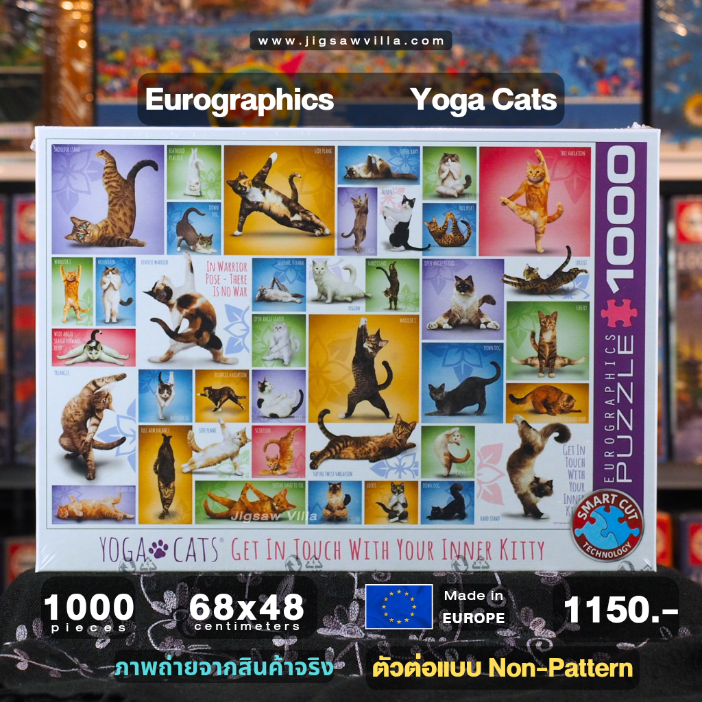 Eurographics - Yoga Cats (Non-Pattern) 1000 pcs.