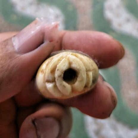 อิ่นรักมัดจิตอิ่นผูกใจ อาจารย์เกื้อกูล