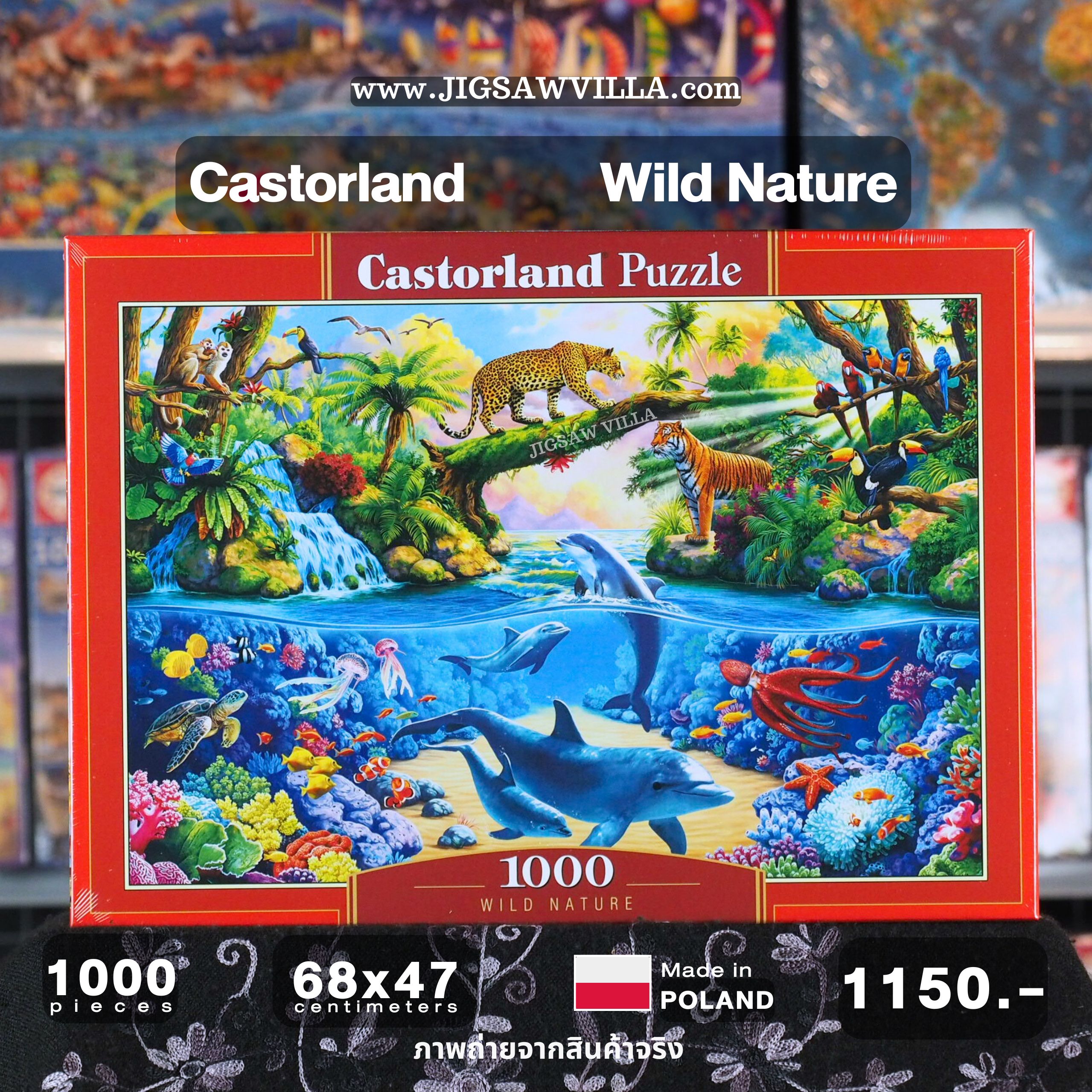 Castorland - Wild Nature by Image World 1000 pcs.