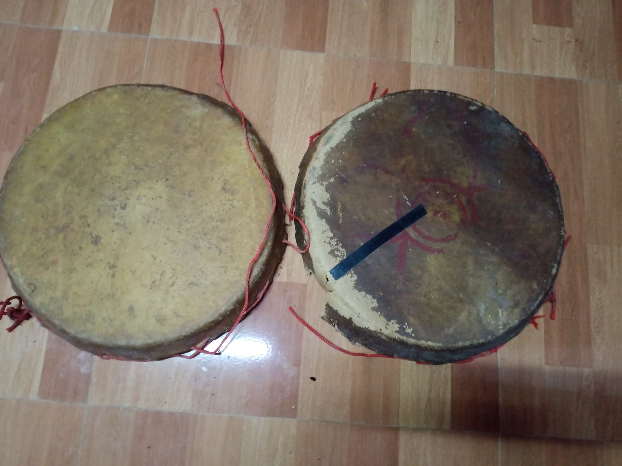 วัวธนูอาคม (โกบาสนาเตะ) อาจารย์เขมร