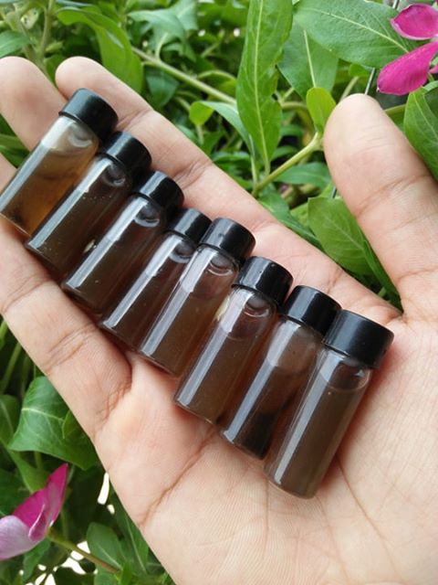 น้ำมันพรายนางคำ อ.ธรรมภิรักษ์