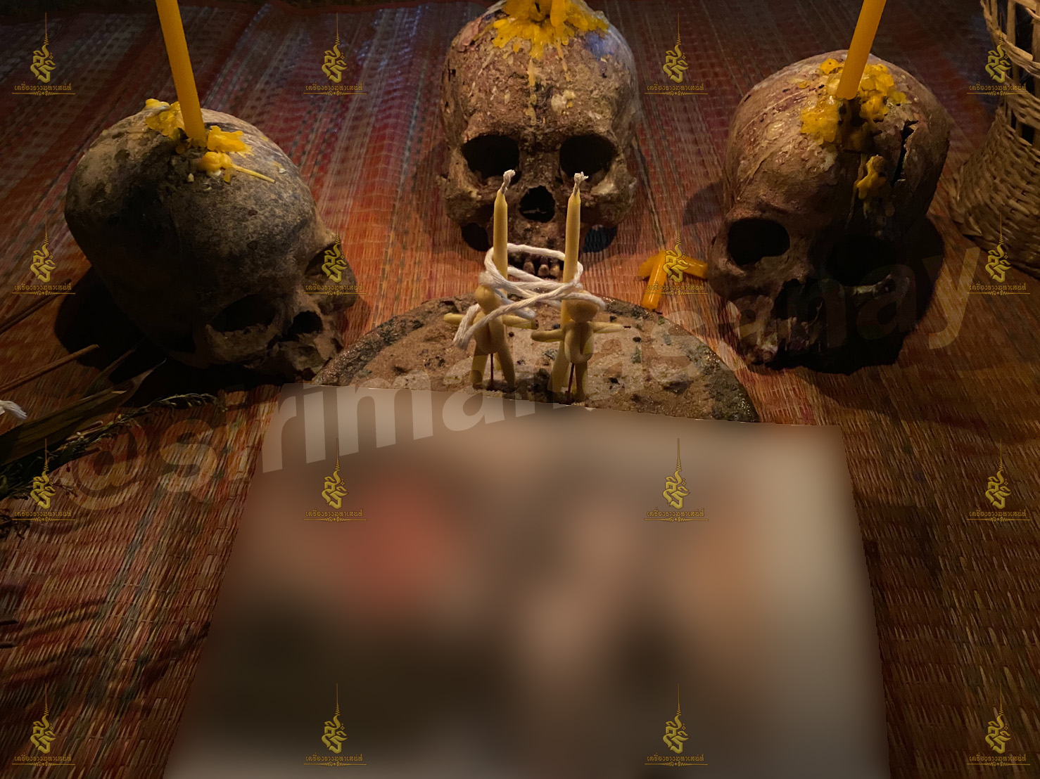 2 รัก 1 ตัด พิธี 3 พิธี 3 สายวิชา