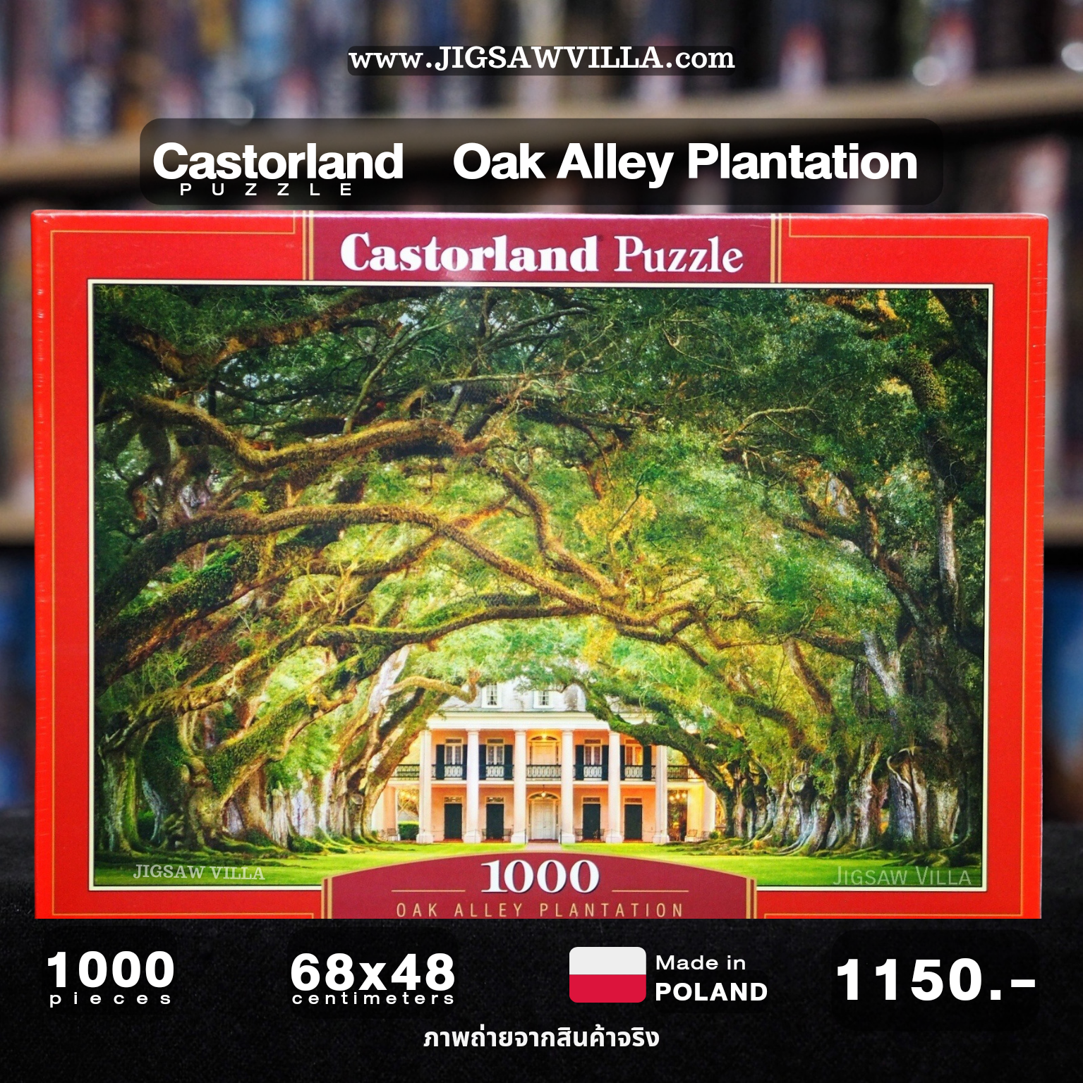 Castorland - Oak Alley Plantation 1000 pcs.