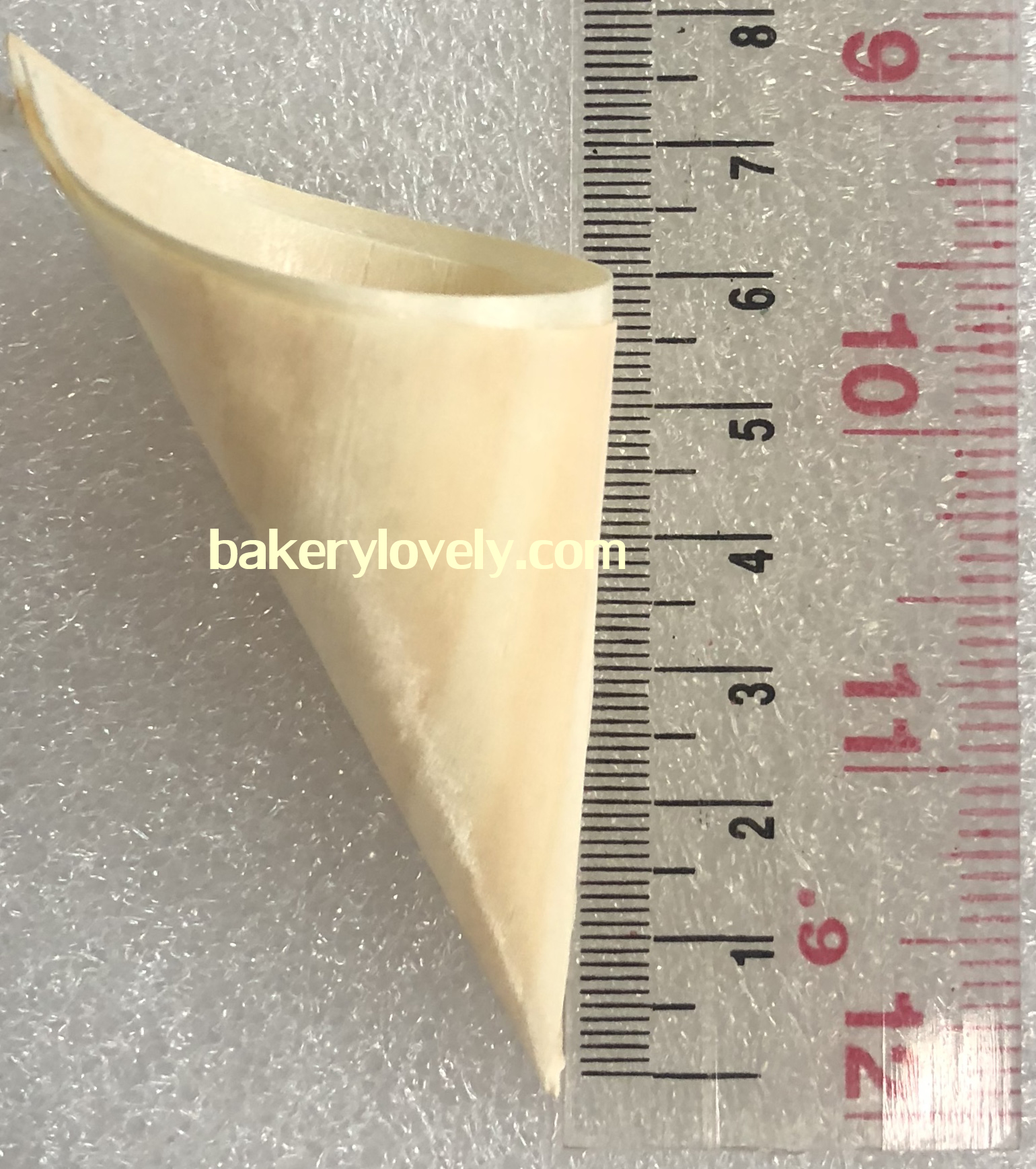 โคนไม้ ขนาดความสูง 8.5 cm