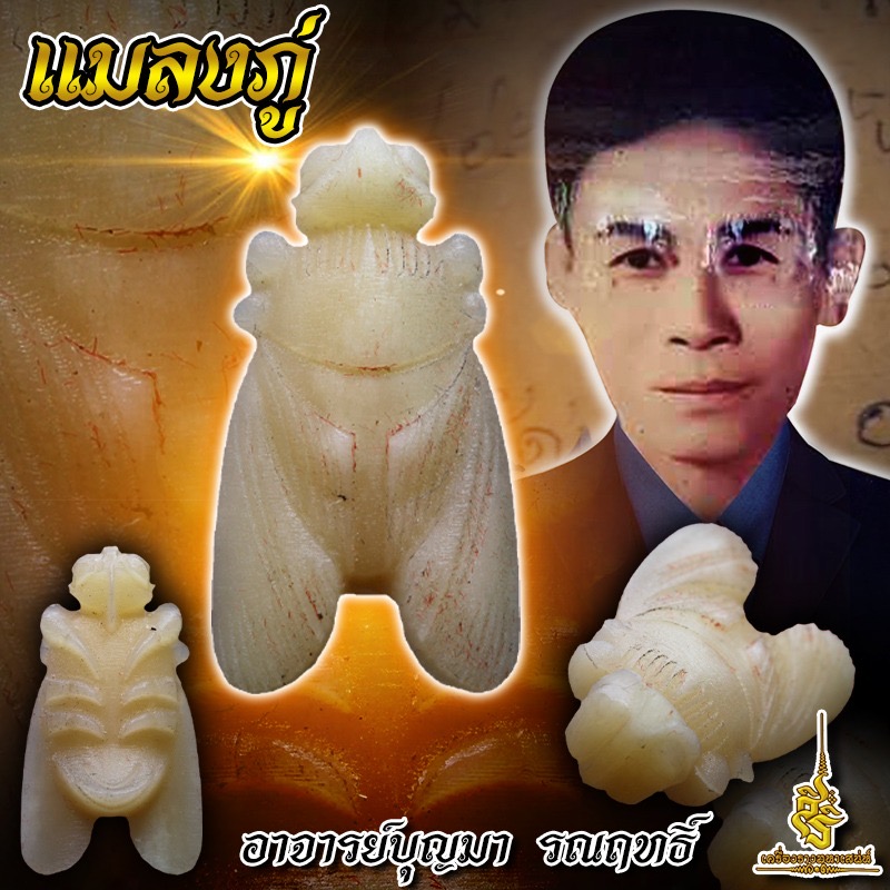แมลงภู่ อาจารย์บุญมา รณฤทธิ์