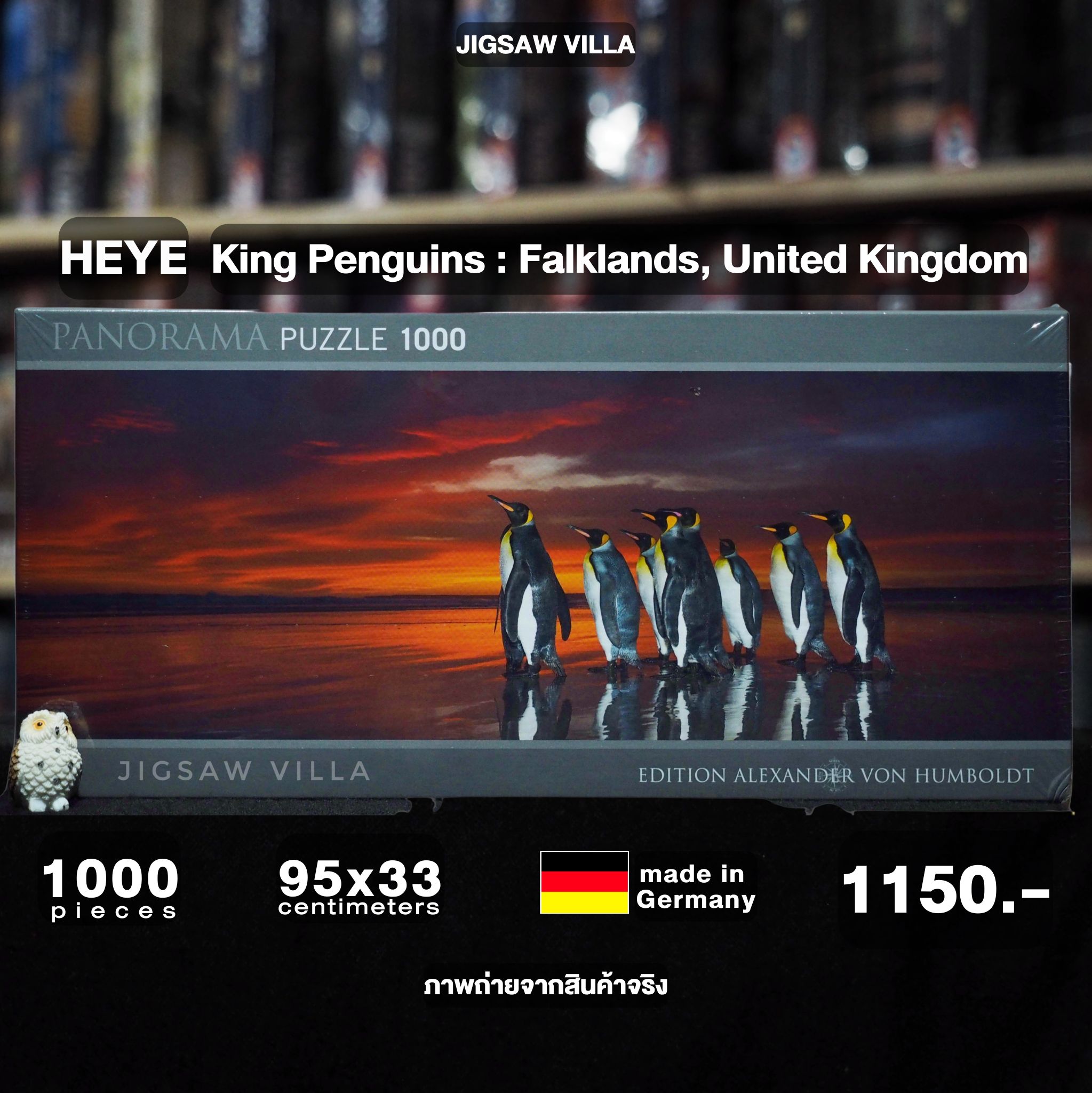 HEYE - King Penguins, Falkland, UK by Alexander Von Humboldt (Panorama) 1000 pcs.