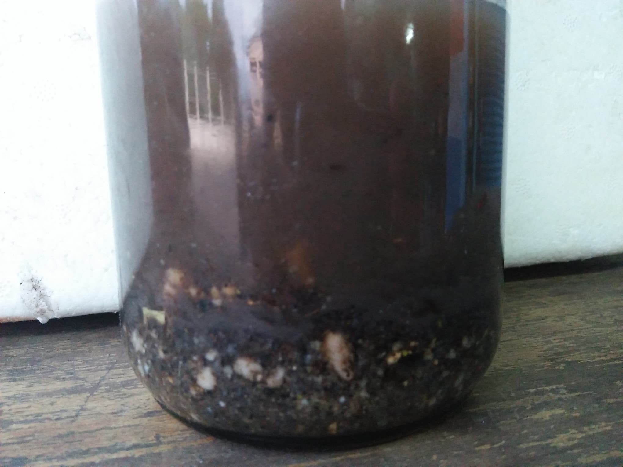 น้ำมันพรายนางคำ อ.ธรรมภิรักษ์