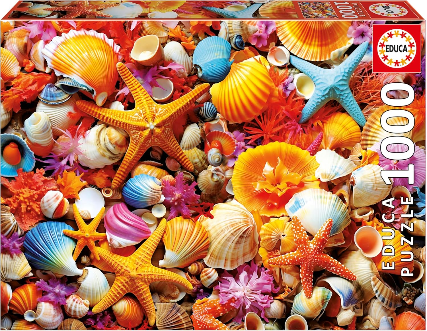 Educa - Shell Collage by M.Farella 1000 pcs.