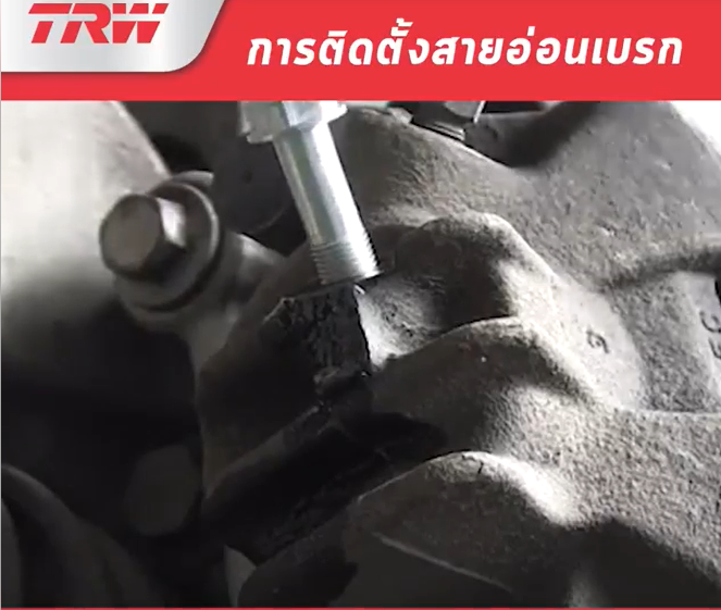 สายอ่อนเบรคหลัง AVEO (T250 T255) 1.4L 1.6L '06-14 ราคาต่อข้าง